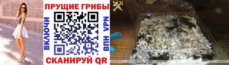 Галлюциногенные грибы MAGIC MUSHROOMS  площадка клад  Мурино 