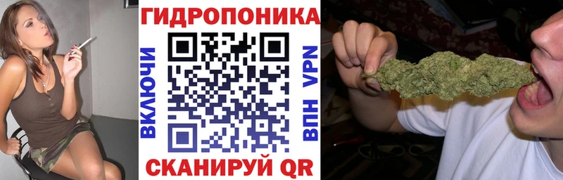 Шишки марихуана конопля  цена наркотик  Мурино 